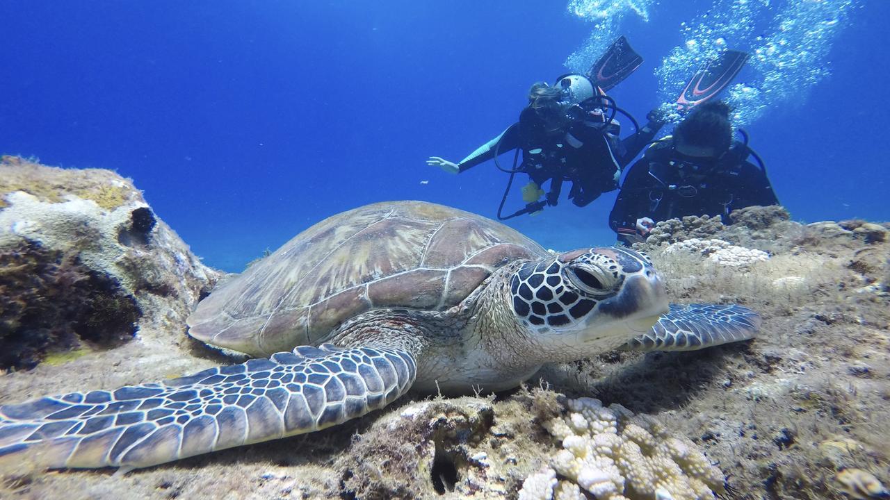 Stay Liuqiu Diving Hostel остров Ламай Екстериор снимка